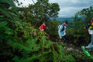 BIB: 
                            <button type="button" onclick="openModal(26196697)" class="btn btn-primary btn-sm float-right btn-popup" data-toggle="modal" data-target=".modal-high-quality">
                        <i class="fas fa-shopping-cart"></i> Add to Cart
                    </button>
                                            <button type="button" onclick="isThisMe(26196697, true)" class="btn btn-success btn-sm float-right btn-popup btn-isme hidden" data-toggle="tooltip" data-placement="bottom" title="นี่คือรูปของคุณใช่ไหม คลิกที่นี่เพื่อเอาเข้าอัลบั้ม">
                        <i class="fas fa-plus"></i> Add to album
                    </button>
                    <button type="button" onclick="isThisMe(26196697, false)" class="btn btn-warning btn-sm float-right btn-popup btn-isnotme hidden">
                        <i class="fas fa-ban"></i> Remove from album
                    </button>